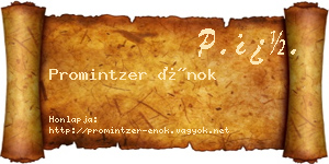 Promintzer Énok névjegykártya
